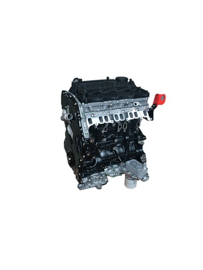 Ford Transit/Ranger/customs /Puma/2.2L/2.4L