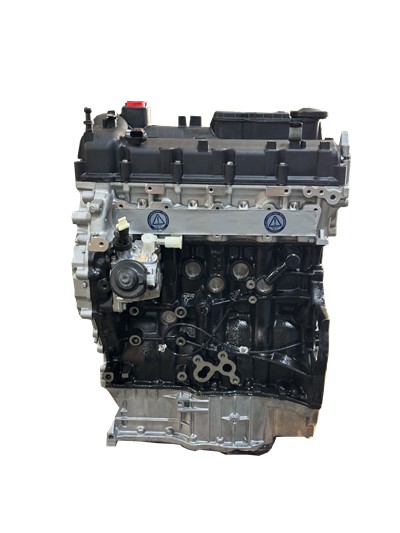 D4HA/D4HB ENGINE ASSEMBLY