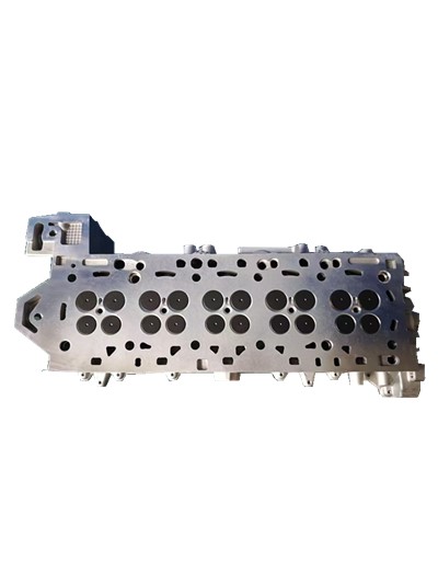 D5204T/D5244T CYLINDER HEAD ASSEMBLY 